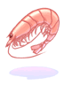 Shrimp - Ragnarok Zero item icon