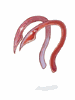 Hard Feeler - Ragnarok Zero item icon