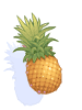 Pineapple - Ragnarok Zero item icon