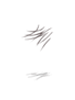 Woman's Moustache - Ragnarok Zero item icon