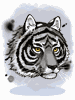 [Costume] Black Wind Black Tiger (Bound) - Ragnarok Zero item icon