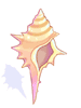 Conch - Ragnarok Zero item icon