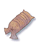 Earthworm Peeling - Ragnarok Zero item icon