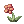 Fancy Flower
