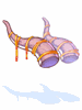 [Costume] Elder Devil Horn - Ragnarok Zero item icon