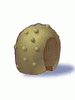 Round Shell - Ragnarok Zero item icon