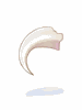 Leopard Claw - Ragnarok Zero item icon