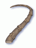 Tough Scalelike Stem - Ragnarok Zero item icon