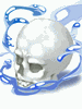 浸溼的頭骨 - Ragnarok Zero item icon