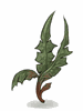 Dusky Herb - Ragnarok Zero item icon
