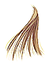 Golden Hair - Ragnarok Zero item icon